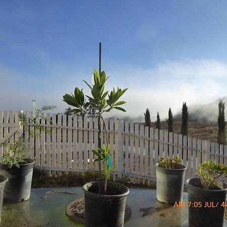 Mansion On The Hill Let 4 Rooms, 5Th Cost Extra Sage 외부 사진