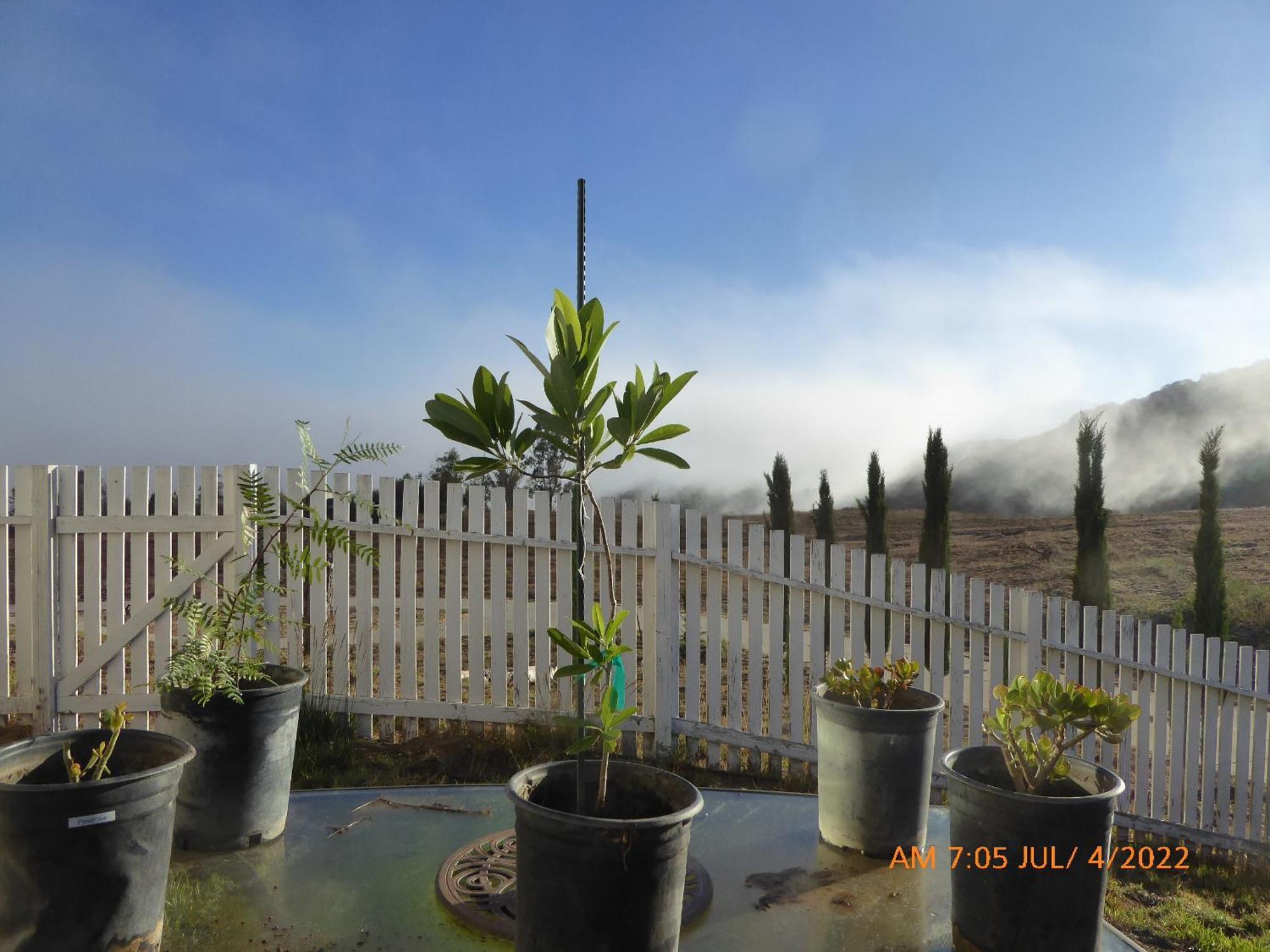 Mansion On The Hill Let 4 Rooms, 5Th Cost Extra Sage 외부 사진